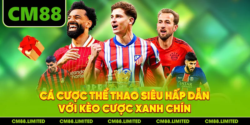 Cá cược thể thao siêu hấp dẫn với kèo cược xanh chín